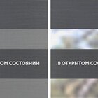 Consul маренго